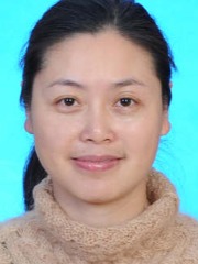Agent Profile Image for Danping Liu : 02053176