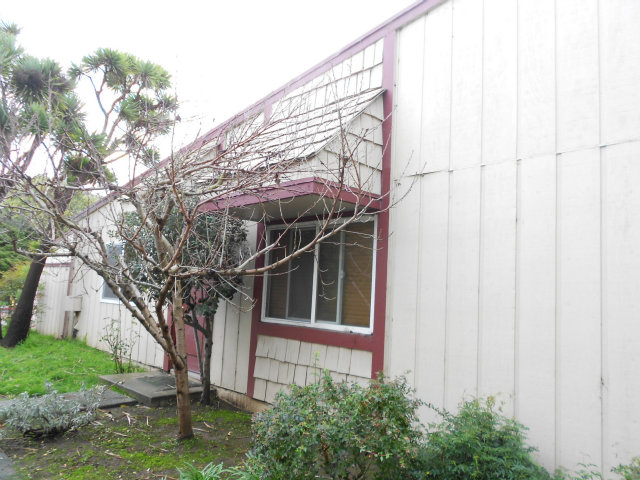 1440 7th Avenue Santa Cruz Ca 95062 407 000 Www