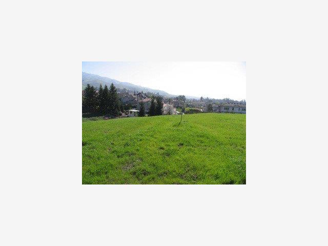 859 Boar Circle, FREMONT, California 94539, ,Lots And Land,For Sale,Boar Circle,40966783