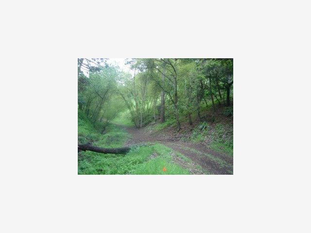 2638 BEACONSFIELD Place, OAKLAND, California 94611, ,Lots And Land,For Sale,BEACONSFIELD Place,40966646