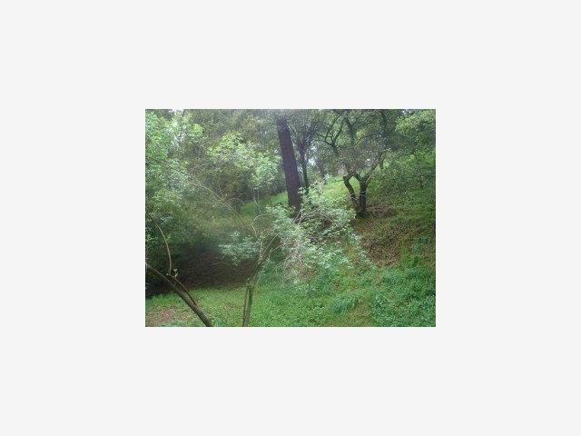 2638 BEACONSFIELD Place, OAKLAND, California 94611, ,Lots And Land,For Sale,BEACONSFIELD Place,40966646