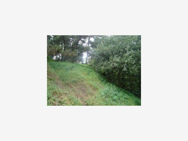 2638 BEACONSFIELD Place, OAKLAND, California 94611, ,Lots And Land,For Sale,BEACONSFIELD Place,40966646