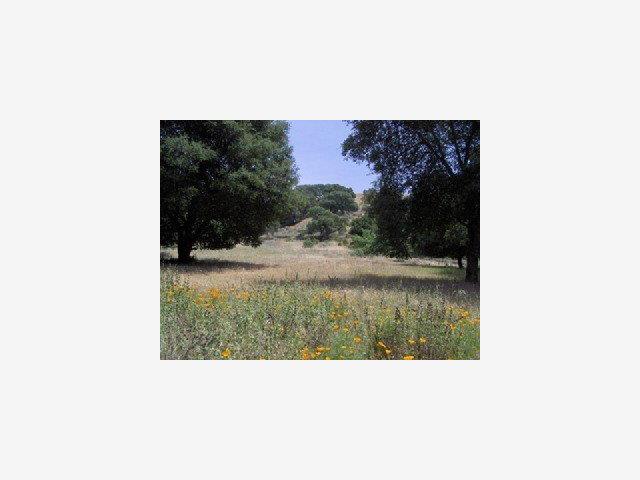 Kilkare Road, SUNOL, California 94586, ,Lots And Land,For Sale,Kilkare Road,40966757