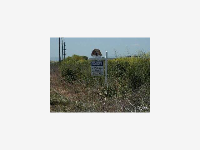 111 HWY 152, DOS PALOS, California 93620, ,Lots And Land,For Sale,HWY 152,40967178