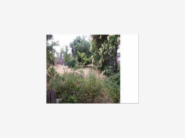 514 Childs Avenue, MERCED, California 95340, ,Lots And Land,For Sale,Childs Avenue,40967047