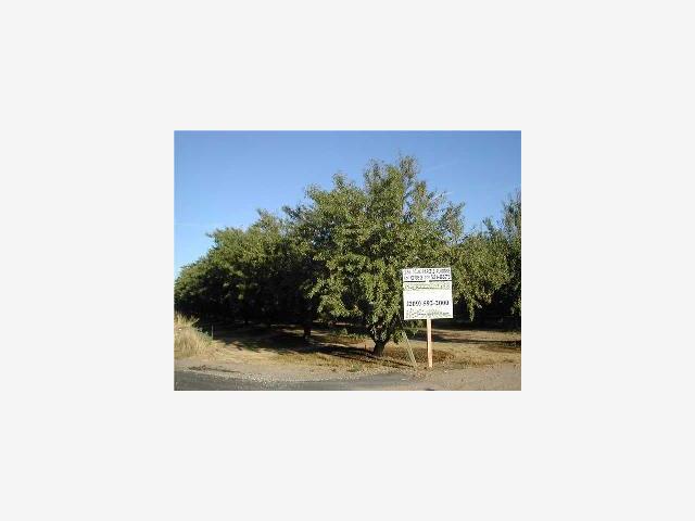 9999 Palm Avenue, OTHER - SEE REMARKS, California 95388, ,Lots And Land,For Sale,Palm Avenue,40966987