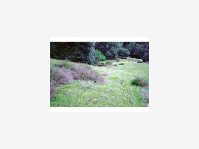 38820 TASSAJARA Road, CARMEL VALLEY, California 93924, ,Lots And Land,For Sale,TASSAJARA Road,40966948