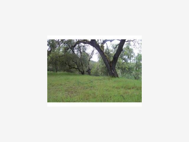 21435 PEROY RANCH Road, CARMEL VALLEY, California 93924, ,Lots And Land,For Sale,PEROY RANCH Road,40967282