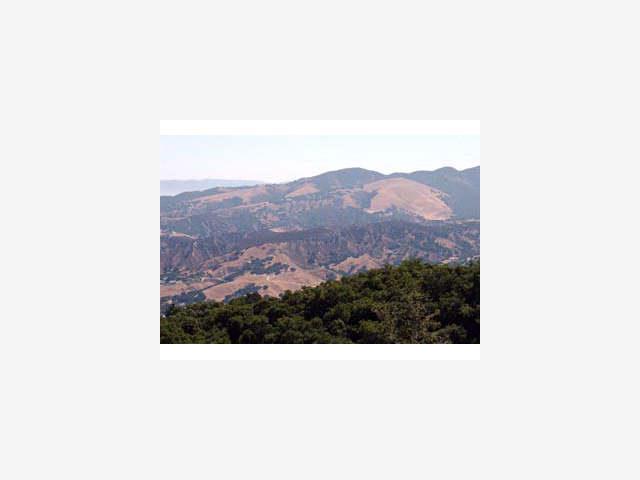 25950 COLT Lane, CARMEL VALLEY, California 93924, ,Lots And Land,For Sale,COLT Lane,40966914