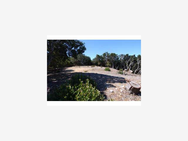 25950 COLT Lane, CARMEL VALLEY, California 93924, ,Lots And Land,For Sale,COLT Lane,40966914