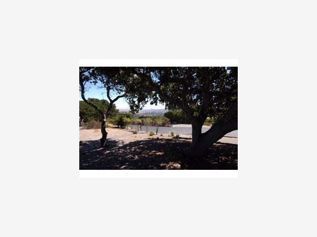 25950 COLT Lane, CARMEL VALLEY, California 93924, ,Lots And Land,For Sale,COLT Lane,40966914
