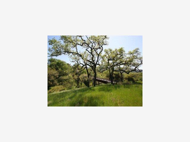 21 PRONGHORN Run, CARMEL VALLEY, California 93923, ,Lots And Land,For Sale,PRONGHORN Run,40966697