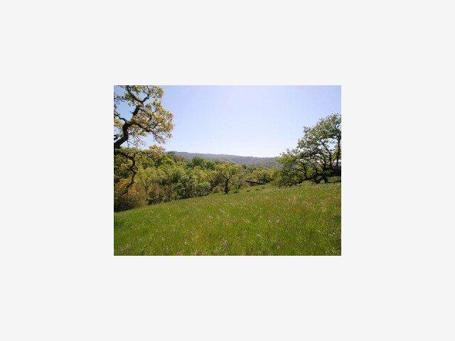 21 PRONGHORN Run, CARMEL VALLEY, California 93923, ,Lots And Land,For Sale,PRONGHORN Run,40966697