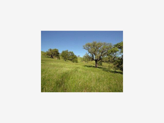 21 PRONGHORN Run, CARMEL VALLEY, California 93923, ,Lots And Land,For Sale,PRONGHORN Run,40966697
