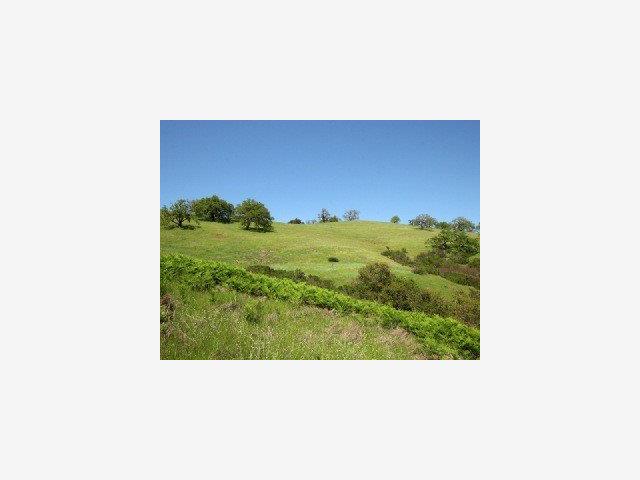 21 PRONGHORN Run, CARMEL VALLEY, California 93923, ,Lots And Land,For Sale,PRONGHORN Run,40966697