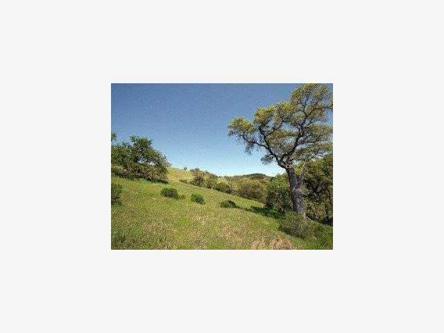 21 PRONGHORN Run, CARMEL VALLEY, California 93923, ,Lots And Land,For Sale,PRONGHORN Run,40966697