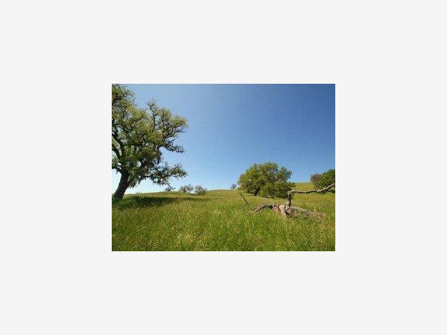 21 PRONGHORN Run, CARMEL VALLEY, California 93923, ,Lots And Land,For Sale,PRONGHORN Run,40966697