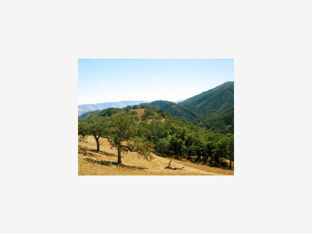 15 BLACK MOUNTAIN TRAIL, CARMEL VALLEY, California 93923, ,Lots And Land,For Sale,BLACK MOUNTAIN TRAIL,40967177