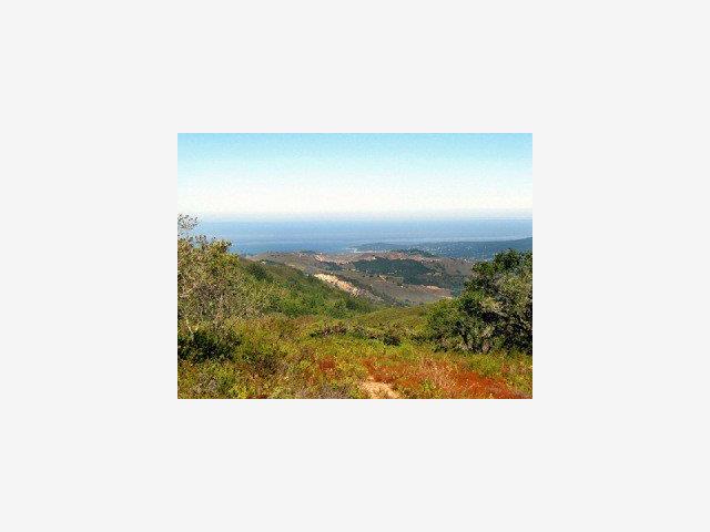 67 CHAMISAL Pass, CARMEL VALLEY, California 93923, ,Lots And Land,For Sale,CHAMISAL Pass,40966753