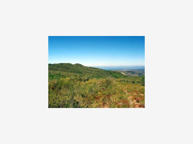 67 CHAMISAL Pass, CARMEL VALLEY, California 93923, ,Lots And Land,For Sale,CHAMISAL Pass,40966753