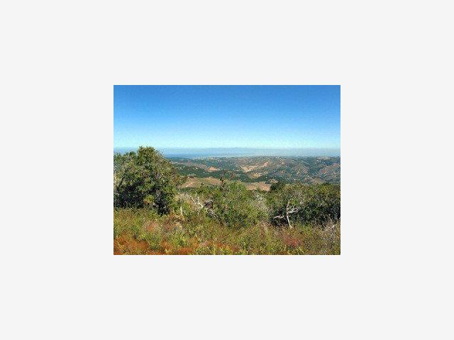 67 CHAMISAL Pass, CARMEL VALLEY, California 93923, ,Lots And Land,For Sale,CHAMISAL Pass,40966753