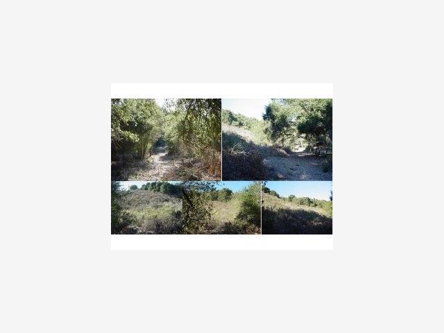 0 Via Milpitas, CARMEL VALLEY, California 93924, ,Lots And Land,For Sale,Via Milpitas,40966831
