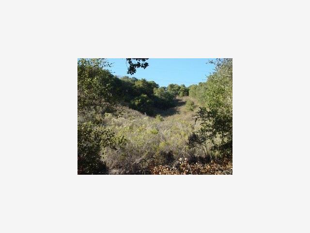 0 Via Milpitas, CARMEL VALLEY, California 93924, ,Lots And Land,For Sale,Via Milpitas,40966831