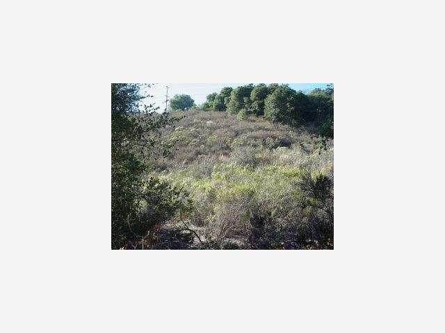 0 Via Milpitas, CARMEL VALLEY, California 93924, ,Lots And Land,For Sale,Via Milpitas,40966831