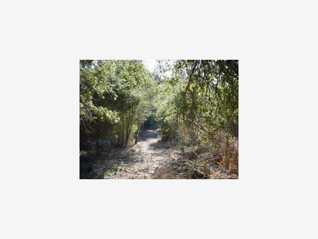 0 Via Milpitas, CARMEL VALLEY, California 93924, ,Lots And Land,For Sale,Via Milpitas,40966831