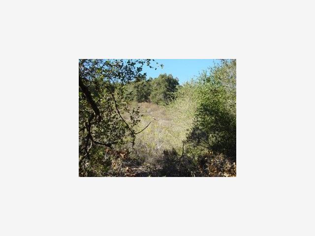 0 Via Milpitas, CARMEL VALLEY, California 93924, ,Lots And Land,For Sale,Via Milpitas,40966831