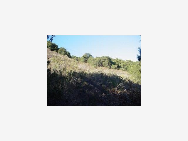 0 Via Milpitas, CARMEL VALLEY, California 93924, ,Lots And Land,For Sale,Via Milpitas,40966831
