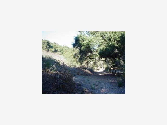 0 Via Milpitas, CARMEL VALLEY, California 93924, ,Lots And Land,For Sale,Via Milpitas,40966831