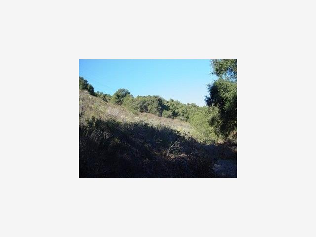 0 Via Milpitas, CARMEL VALLEY, California 93924, ,Lots And Land,For Sale,Via Milpitas,40966831