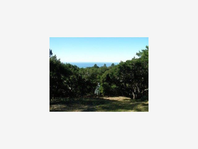 8 COASTLANDS, BIG SUR, California 93920, ,Lots And Land,For Sale,COASTLANDS,40962704