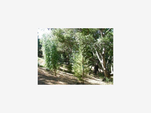 8 COASTLANDS, BIG SUR, California 93920, ,Lots And Land,For Sale,COASTLANDS,40962704