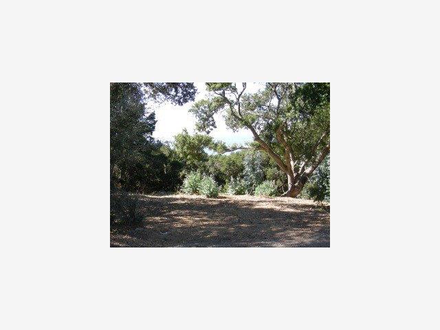 8 COASTLANDS, BIG SUR, California 93920, ,Lots And Land,For Sale,COASTLANDS,40962704