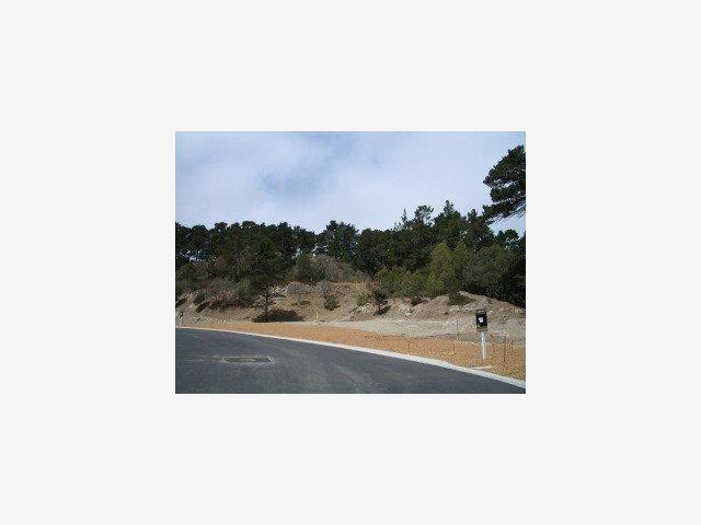 137 STEPHEN Place, MONTEREY, California 93940, ,Lots And Land,For Sale,STEPHEN Place,40966733