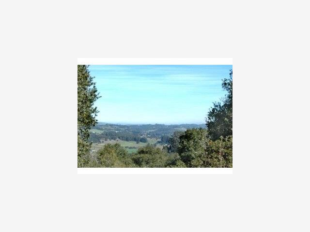 4660 LOTTE Lane, OTHER - SEE REMARKS, California 95076, ,Lots And Land,For Sale,LOTTE Lane,40966819
