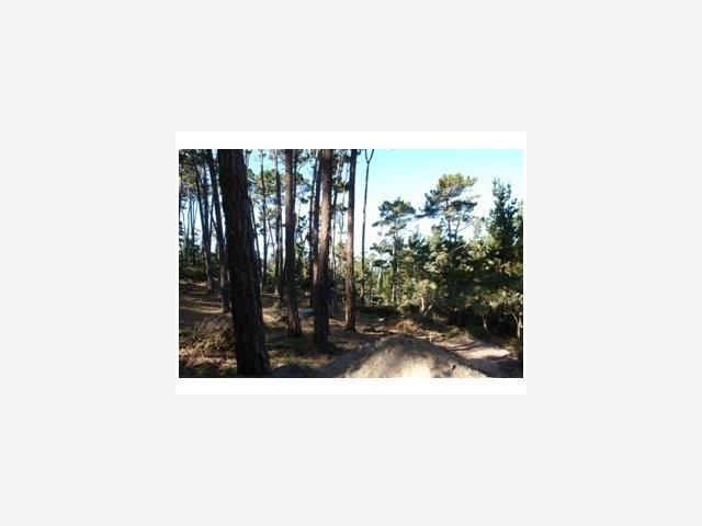 2970 CONGRESS Road, PEBBLE BEACH, California 93953, ,Lots And Land,For Sale,CONGRESS Road,40966749