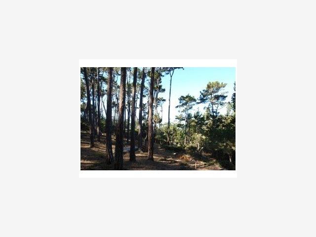 2970 CONGRESS Road, PEBBLE BEACH, California 93953, ,Lots And Land,For Sale,CONGRESS Road,40966749