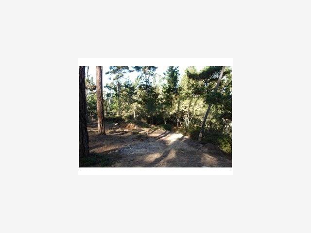 2970 CONGRESS Road, PEBBLE BEACH, California 93953, ,Lots And Land,For Sale,CONGRESS Road,40966749