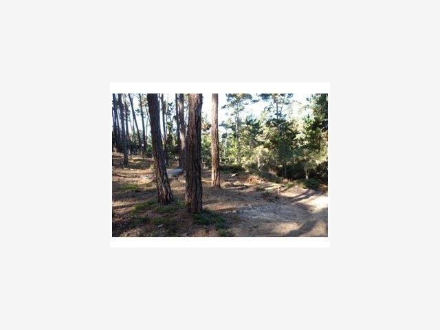 2970 CONGRESS Road, PEBBLE BEACH, California 93953, ,Lots And Land,For Sale,CONGRESS Road,40966749