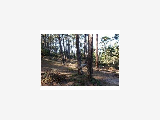 2970 CONGRESS Road, PEBBLE BEACH, California 93953, ,Lots And Land,For Sale,CONGRESS Road,40966749