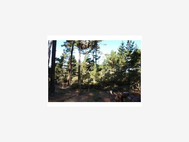 2970 CONGRESS Road, PEBBLE BEACH, California 93953, ,Lots And Land,For Sale,CONGRESS Road,40966749