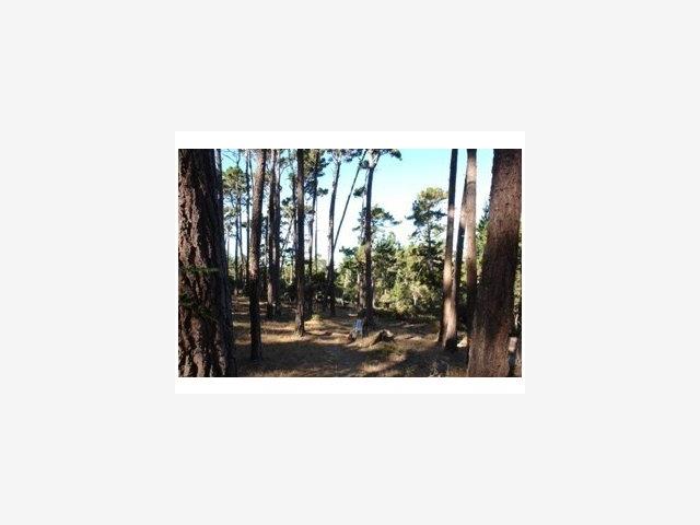 2970 CONGRESS Road, PEBBLE BEACH, California 93953, ,Lots And Land,For Sale,CONGRESS Road,40966749