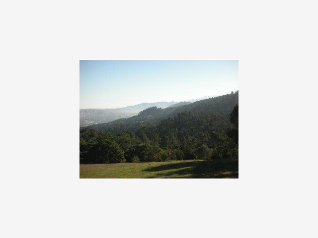24237 MONTERRA WOODS Road, SALINAS, California 93940, ,Lots And Land,For Sale,MONTERRA WOODS Road,40966675