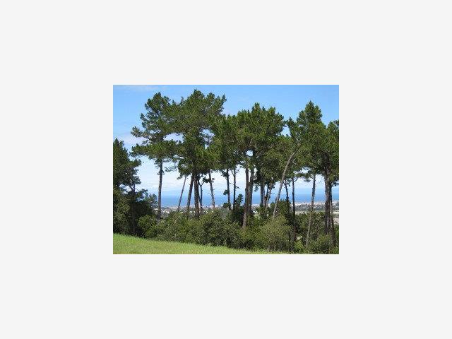 7541 CANADA VISTA Way, SALINAS, California 93940, ,Lots And Land,For Sale,CANADA VISTA Way,40966644