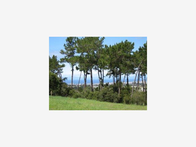 7541 CANADA VISTA Way, SALINAS, California 93940, ,Lots And Land,For Sale,CANADA VISTA Way,40966644