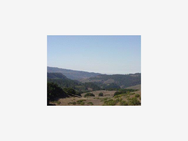 8125 CARINA, SALINAS, California 93923, ,Lots And Land,For Sale,CARINA,40966795