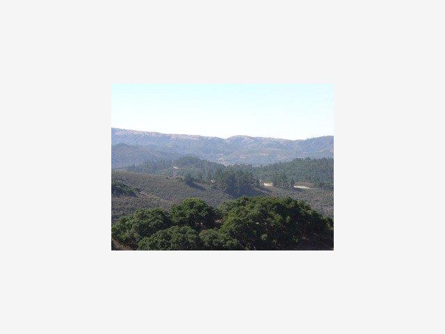 8125 CARINA, SALINAS, California 93923, ,Lots And Land,For Sale,CARINA,40966795